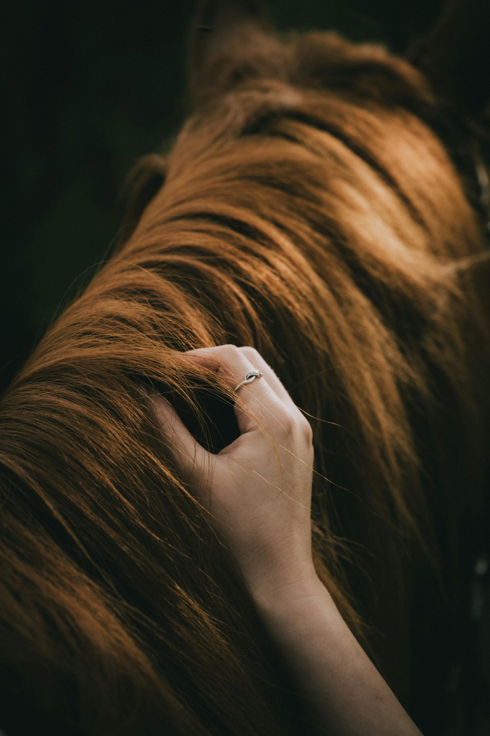 Hand in Pferdemähne